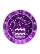 Aquarius Zodiac Sticker