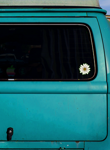 Daisy Flower Color Sticker